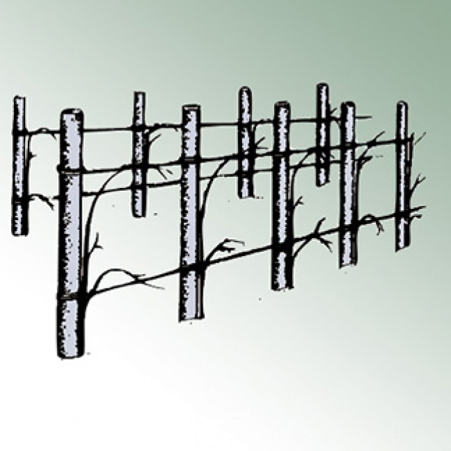 Тел Bayco 3 мм 1360 м